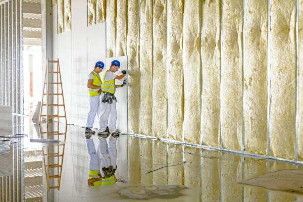 Best Commercial Insulation in Dickson, OK